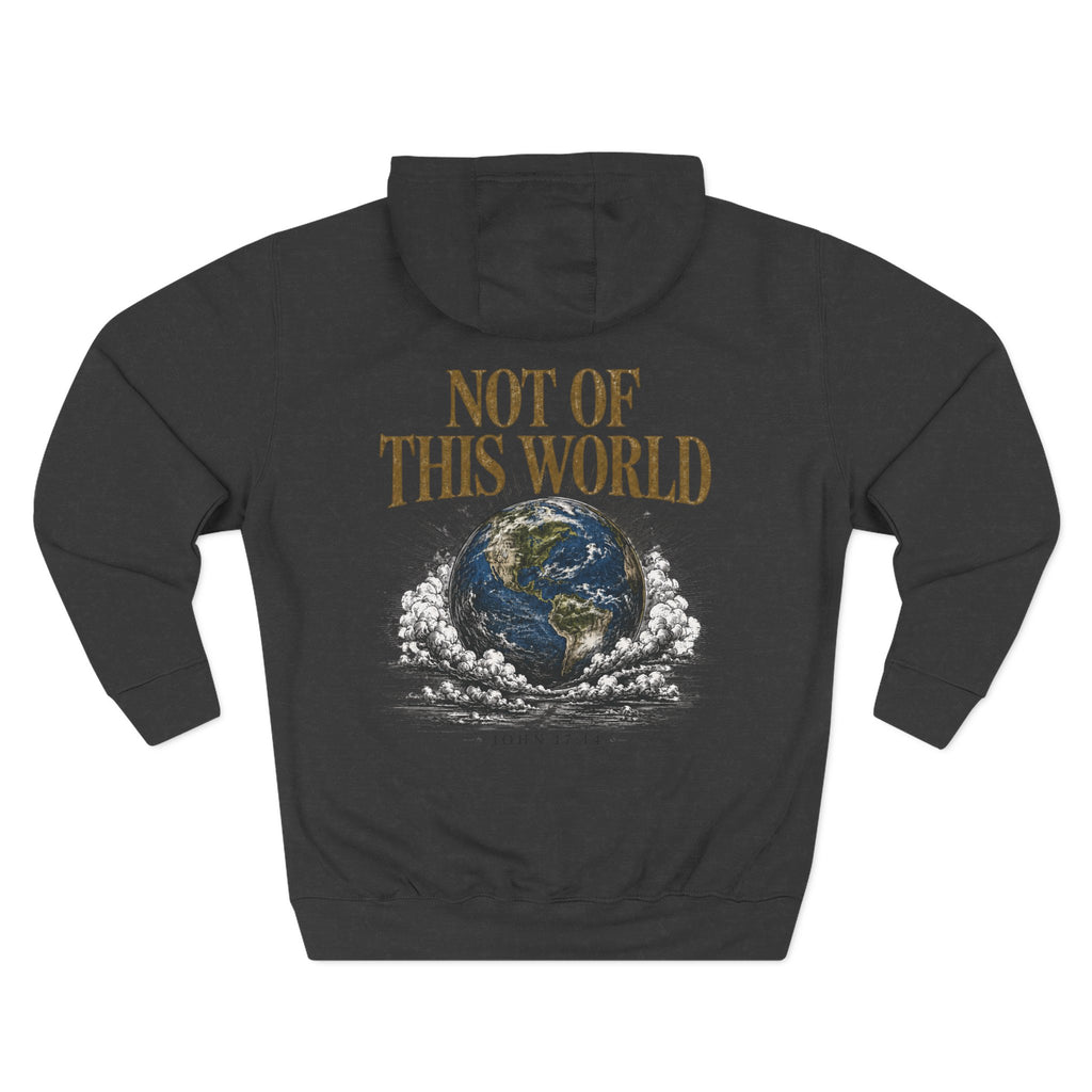 Not of This World Hoodie
