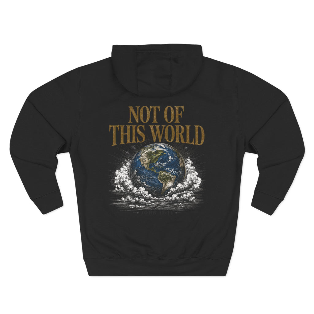 Not of This World Hoodie